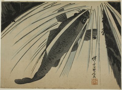 شلالات الكارب الصاعدة بواسطة Kawanabe Kyosai