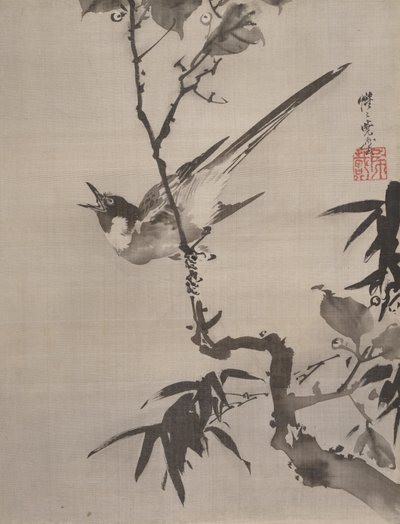 Singing Bird على فرع ، كاليفورنيا. 1887. بواسطة كوانابي كيوساي