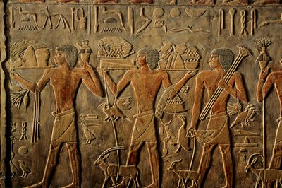 مصر؛ المملكة القديمة؛ سقارة؛ سقارة؛ مقبرة بتاح حوتيب؛ الخلود بواسطة كينيث جاريت