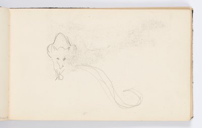 صفحة كراسة الرسم: Sketch of a Genet بواسطة كينيون كوكس