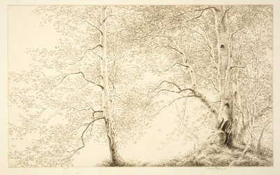 بيرش بواسطة كير إيبي