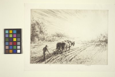 الحرث المبكر (الربيع) (الحفر) بواسطة كير إيبي