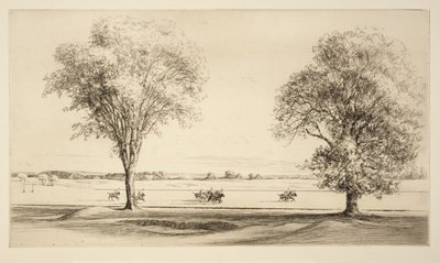 بولو بواسطة كير إيبي