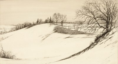 ظهر الحوت بواسطة كير إيبي