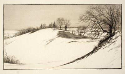 ظهر الحوت بواسطة كير إيبي