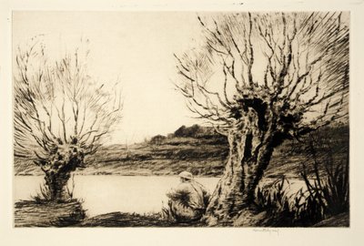 ذا ويلوز بواسطة كير إيبي