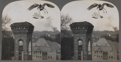 في Olden Times ، إذا كان الناس جيدون ، فإن اللقلق سيجلب طفلًا حلوًا وعادلاً ، 1907. بواسطة شركة كيستون فيو