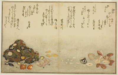 Ashi-gai و hamaguri و ko-gai و suzume-gai و akoya-gai و katashi-gai ، من الكتاب المصور "هدايا من إيب تايد (Shiohi no tsuto)" بواسطة كيتاجاوا أوتامارو