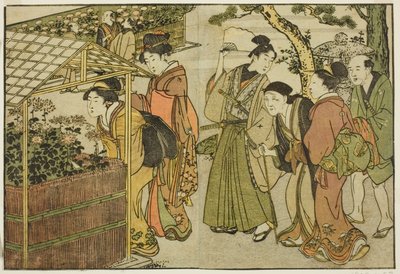 عرض الأقحوان ، من الكتاب المصور "كتاب مصور: زهور الفصول الأربعة (Ehon shiki no hana) ،" المجلد. 2 بواسطة كيتاجاوا أوتامارو