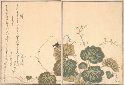 دودة الأرض ميميزو ، كريكيت كوروغي ... ، 1788. بواسطة كيتاجاوا أوتامارو