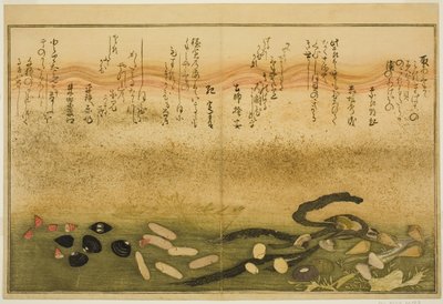 Minashi-gai و shio-gai و katatsu-gai و miso-gai و chijimi-gai و chigusa-gai ، من الكتاب المصور "هدايا من إيب تايد (Shiohi no tsuto)" بواسطة كيتاجاوا أوتامارو