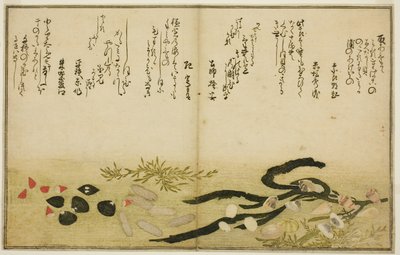 Minashi-gai و shio-gai و katatsu-gai و miso-gai و chijimi-gai و chigusa-gai ، من الكتاب المصور "هدايا من إيب تايد (Shiohi no tsuto)" بواسطة كيتاجاوا أوتامارو
