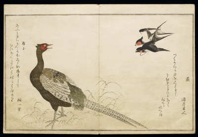 P.332-1946 Vol.1 f.6 زوج من مداخن السنونو والدراج الأخضر ، من ألبوم "Birds مقارنة في الأغاني المرحة" ، 1791 (طباعة لوح خشبي ملون) بواسطة كيتاجاوا أوتامارو