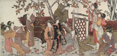 جامعي البرسيمون بواسطة Kitagawa Utamaro
