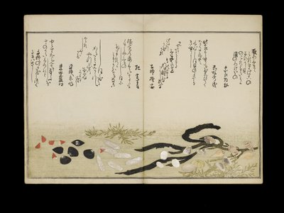 Shiohi no tsuto (هدايا من Ebb Tide) ، والمعروفة باسم Shell Book ، 1789 (طباعة لوح خشبي ملون) بواسطة كيتاجاوا أوتامارو