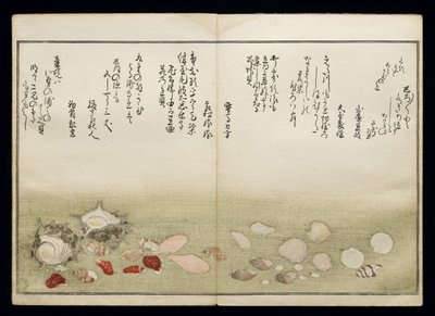 Shiohi no tsuto (هدايا من Ebb Tide) ، والمعروفة باسم Shell Book ، 1789 (طباعة لوح خشبي ملون) بواسطة كيتاجاوا أوتامارو