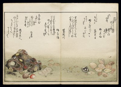 Shiohi no tsuto (هدايا من Ebb Tide) ، والمعروفة باسم Shell Book ، 1789 (طباعة لوح خشبي ملون) بواسطة كيتاجاوا أوتامارو