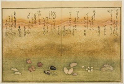 Sudare-gai و hana-gai و sakura-gai و mumeno-gai و nadeshiko-gai و kinuta-gai ، من الكتاب المصور "هدايا من إيب تايد (Shiohi no tsuto)" بواسطة كيتاجاوا أوتامارو