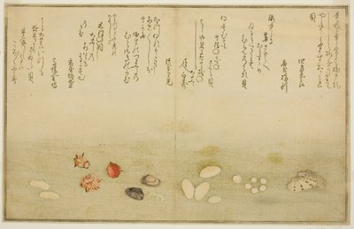 Sudare-gai و hana-gai و sakura-gai و mumeno-gai و nadeshiko-gai و kinuta-gai ، من الكتاب المصور "هدايا من إيب تايد (Shiohi no tsuto)" بواسطة كيتاجاوا أوتامارو