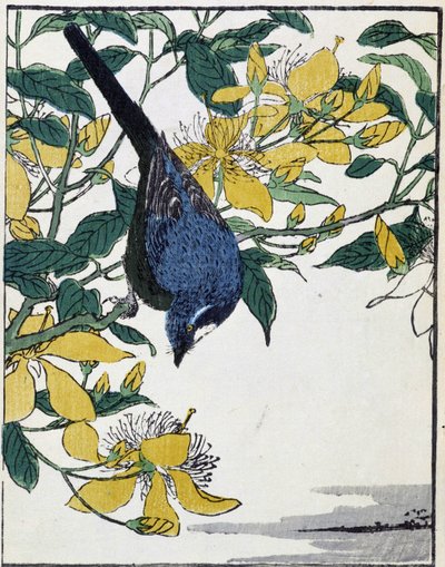 طائر على شجرة. الرسم الياباني كيتاو كوسيساي بواسطة Kitao Shigemasa