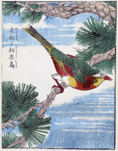 Bird on a tree. Japanese drawing by Kitao Kosuisai بواسطة Kitao Shigemasa