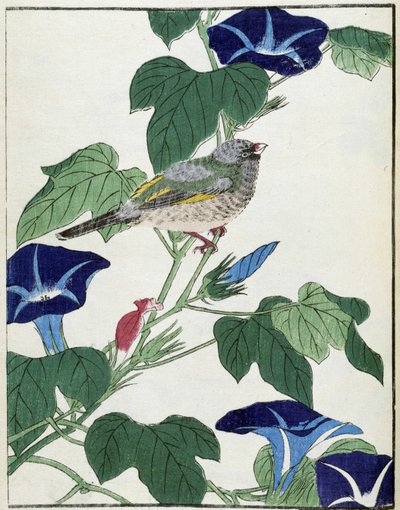 طائر على شجرة. الرسم الياباني كيتاو كوسيساي بواسطة Kitao Shigemasa
