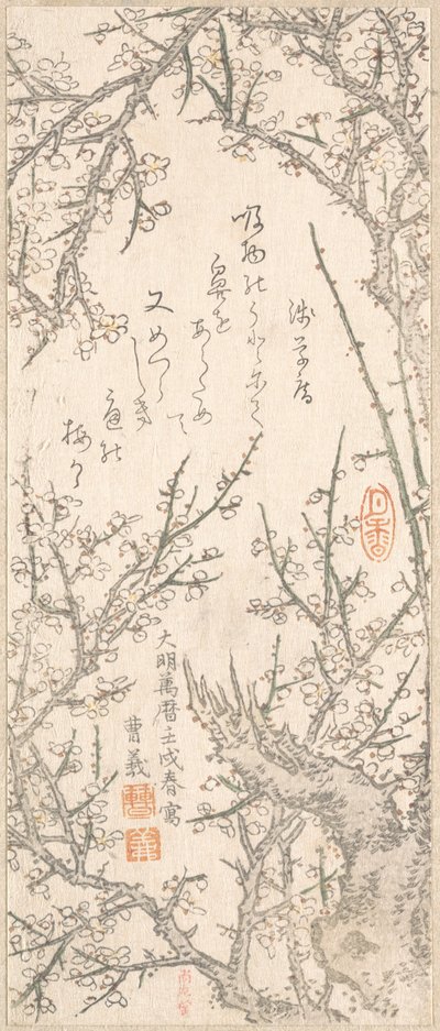 شجرة البرقوق في بلوسوم ، 1813. بواسطة Kitao Shigemasa