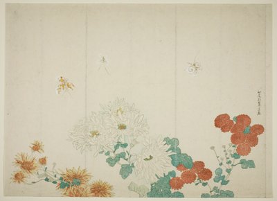 ثلاثة أنواع من الأقحوان بواسطة Kitao Shigemasa