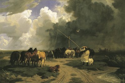  بواسطة كارولي لوتز
