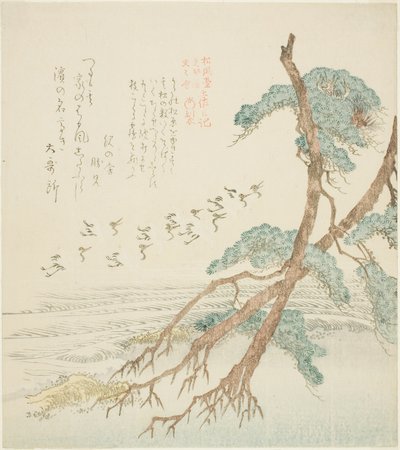 أشجار الصنوبر ، من السلسلة "والفرق في جيل الكتاب ، Hisakataya ، شركة Plan d (فرع شركة Hisakataya ومذكرات الفرق)" بواسطة كوبو شونمان