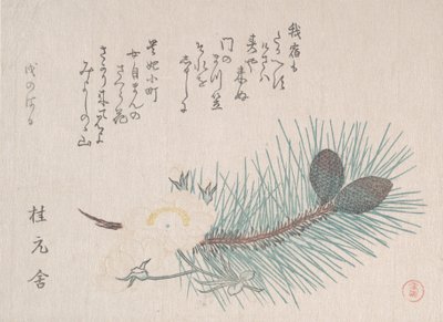 أشجار الصنوبر وأزهار الكرز ، على الأرجح عام 1814. بواسطة كوبو شونمان