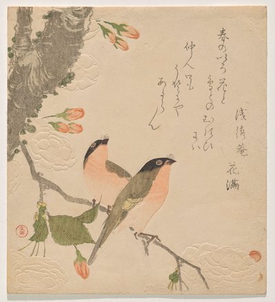 اثنان من الثيران على شجرة كرز مزدوجة البتلات (Uso ni Yae-zakura) بواسطة كوبو شونمان