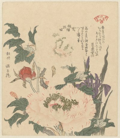 الفاونيا والسوسن Kakitsubata botan (العنوان على الكائن) مجموعة مختارة من النباتات لجمعية شاعر قاسمي (عنوان المسلسل) Kasumiren Somoku Awase (عنوان المسلسل على الكائن) بواسطة كوبوتا شونمان