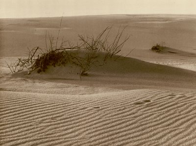 تحويل الكثبان الرملية على Curonian Spit شمال روسيتين ؛ تغيير الكثبان الرملية أحد البصق الرملي Curonian في شمال روسيتن (صورة بالأبيض والأسود) بواسطة كيرت هيلشر