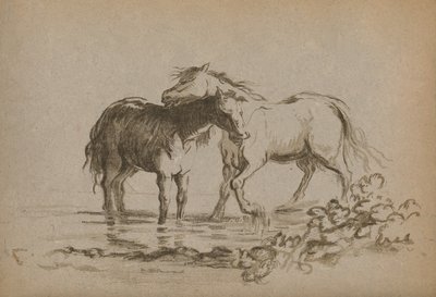 "خيول" ، 1903 بواسطة سيدة ديانا سبنسر