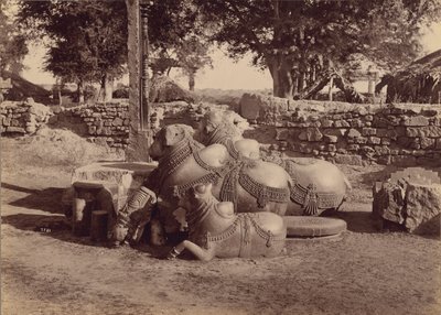  بواسطة لالا دين ديال