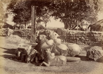  بواسطة لالا دين ديال