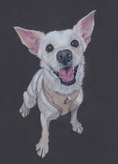 رقيق، 2025 (قلم رصاص ملون على ورق ملون) بواسطة 