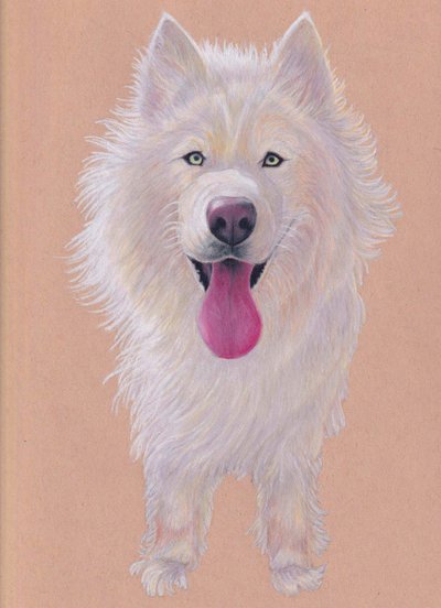 سنوكي، 2021 (قلم رصاص ملون على ورق ملون) بواسطة 