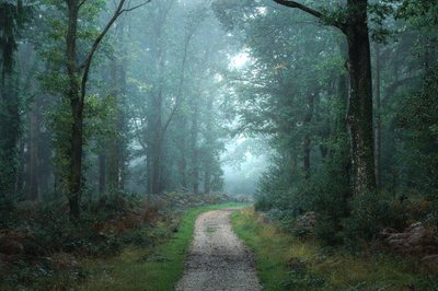 بين الفروع، 2023 (صورة) بواسطة 