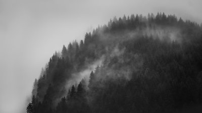 طريق جرين ويتش، 2022 (الصورة) بواسطة 