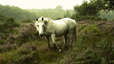 في الغلامينغ، 2023 (صورة) بواسطة 