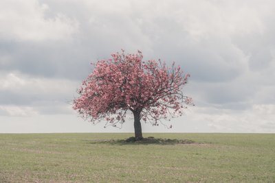  بواسطة 