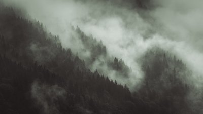 تانجلد، 2022 (صورة فوتوغرافية) بواسطة 