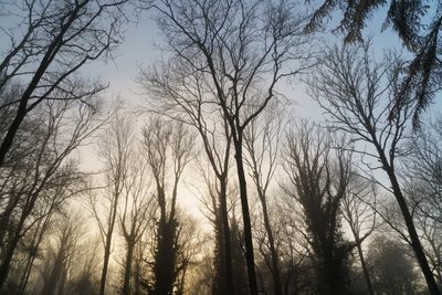 وودلاند ريفيري، 2023 (صورة) بواسطة 