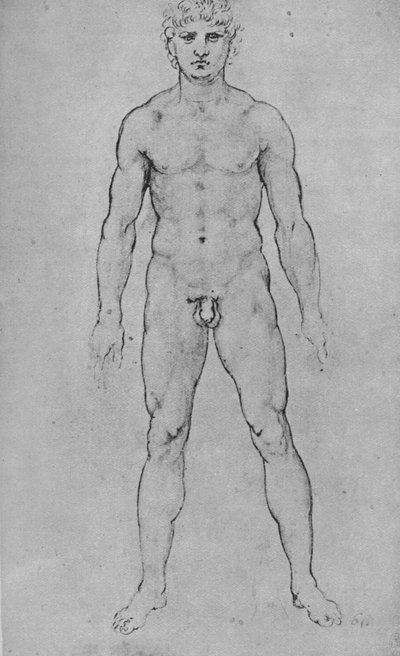 رجل عاري ينظر إليه من الأمام ، c1480 1945 بواسطة ليوناردو دا فينشي