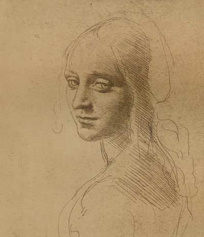 رأس أنثى ، c1472-c1519 1883 ، بواسطة ليوناردو دا فينشي