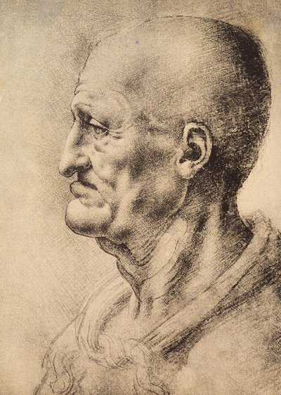 مطبوعات فنية بواسطة Leonardo Da Vinci الصفحة 2