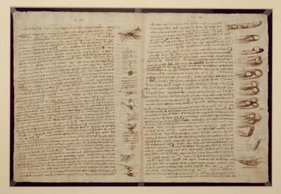 صفحة من Codex Leicester ، 1508-12 (حبر بني داكن على ورق الكتان) بواسطة ليوناردو دا فينشي