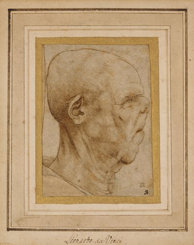 كاريكاتير رأس رجل عجوز ، في صورة جانبية إلى اليمين ، حوالي 1507 بواسطة ليوناردو دا فينشي